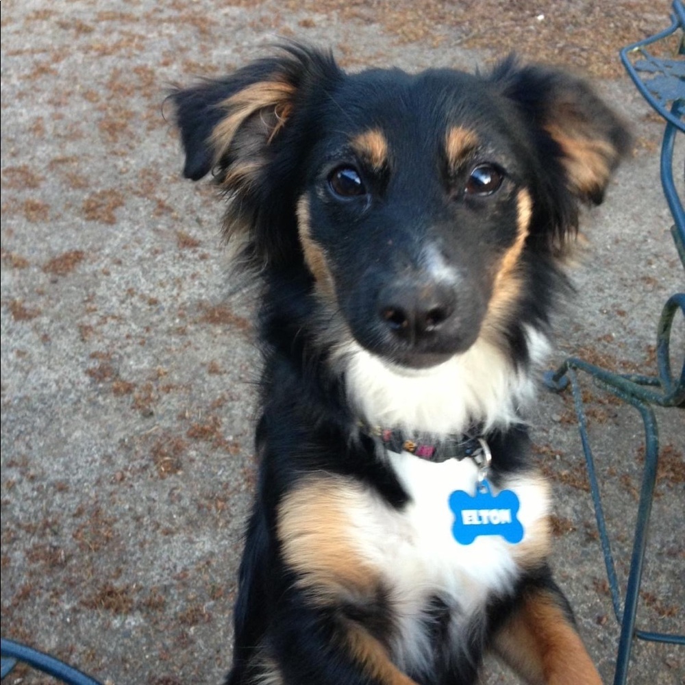 Meet your Posher, Kristine